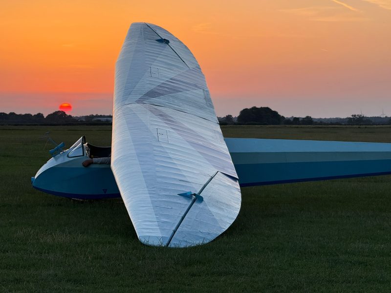 Bluebell with a sunset