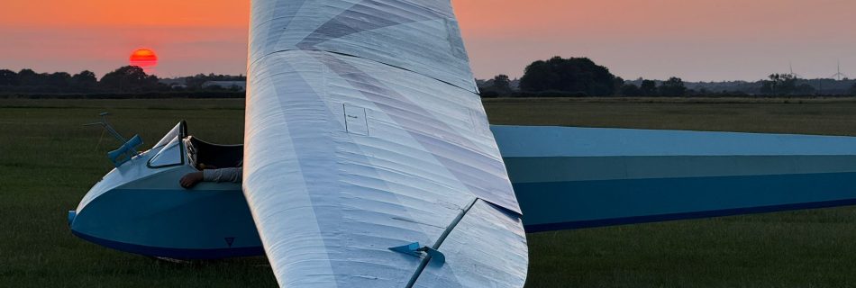 Bluebell with a sunset